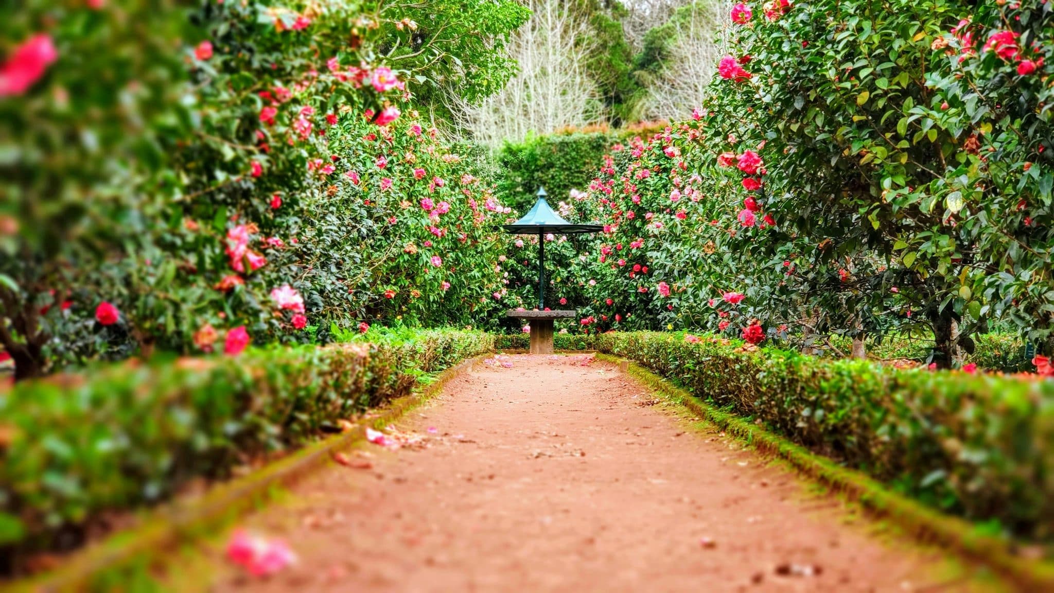 ignacio correia 1 yycyomt6g unsplash
